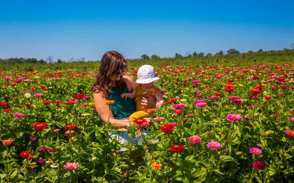 Lakeland Orchard & Cidery in Scott Township, PA