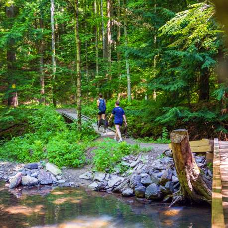 Lackawanna State Park Hiking