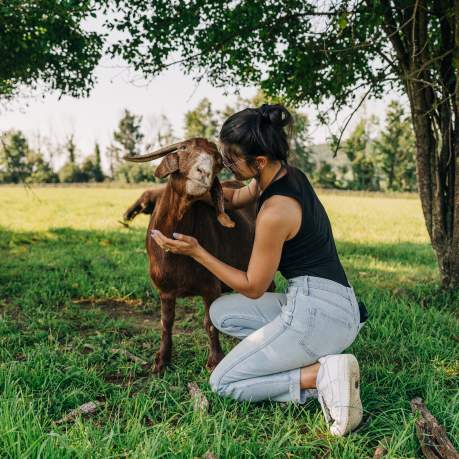 Indraloka Animal Sanctuary