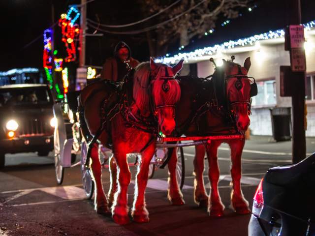Horses providing carriage rides at the Holiday Light Spectacular at Nay Aug Park in Scranton, PA