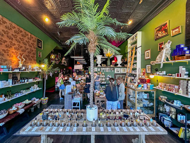 Interior of Tusk boutique in downtown Scranton with green walls, black tin ceiling, palm centerpiece, and shelves of skincare, candles, and artisan goods."
