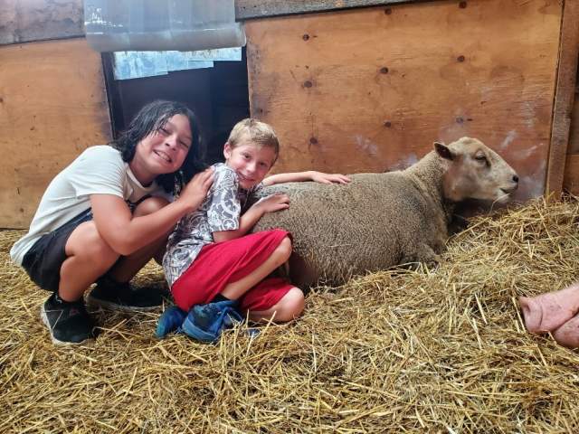 Children hugging a sheep at Indraloka Animal Sanctuary in Dalton, PA