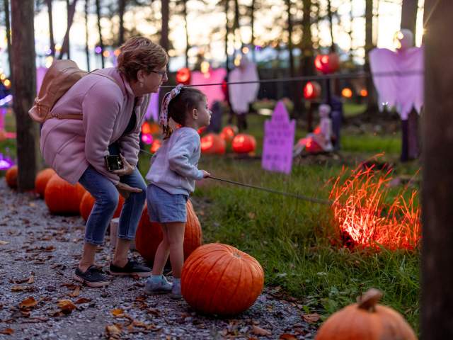 The Glowing Pumpkin Trail at Roba Family Farm in North Abington Township, PA