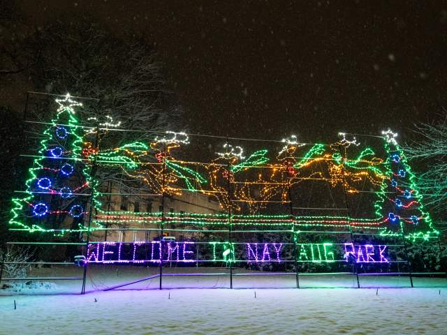 Colorful Christmas lights at Nay Aug Park in Scranton, featuring a glowing tree, reindeer, falling snow, and a festive holiday event display.