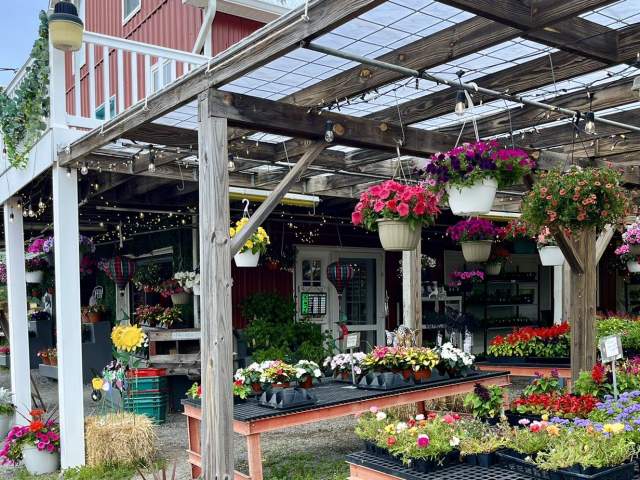 Flowers at The Shoppes at Ritter's Farm