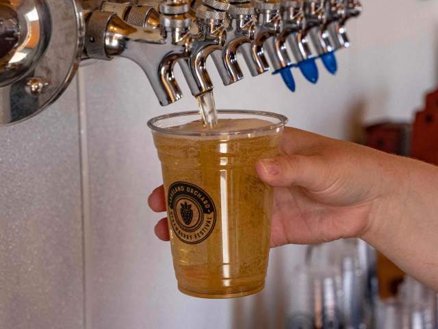 Hard Cider pouring from a tap at Lakeland Orchard & Cidery's Cider Garden