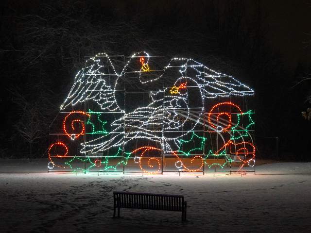The Holiday Light Spectacular at Nay Aug Park in Scranton, PA