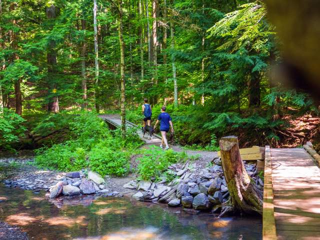 Lackawanna State Park Hiking