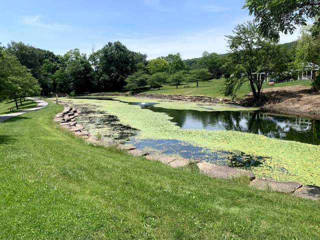 McDade Park Summer Pond Peregrim 01 LCVB