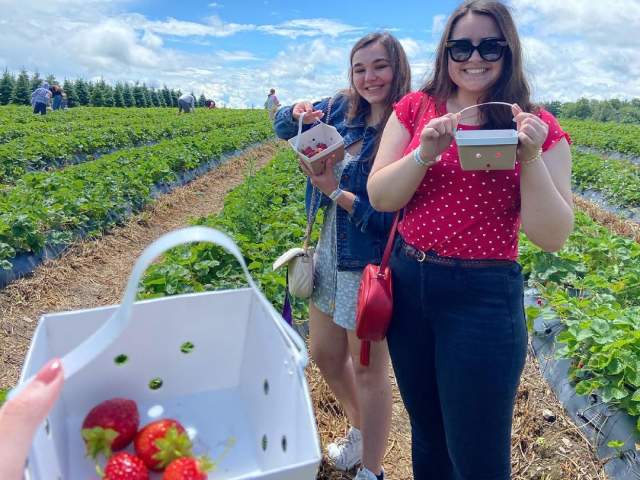 Lakeland Orchard & Cidery in Scott Township, PA