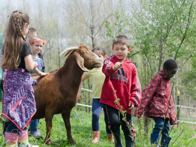 Indraloka Animal Sanctuary