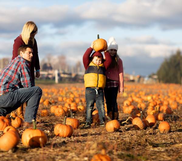 Family picking a pumpkin at Roba Family Farms in North Abington Township, PA