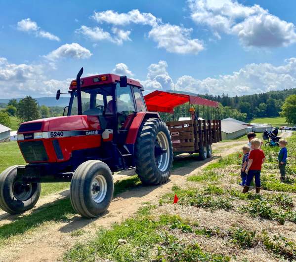 Tractor and kids at Pallman Farms' strawberry field in Clarks Summit, PA