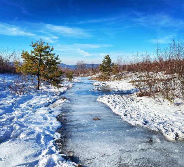 A winter landscape at Eales Preserve at Moosic Mountain in Jessup, PA