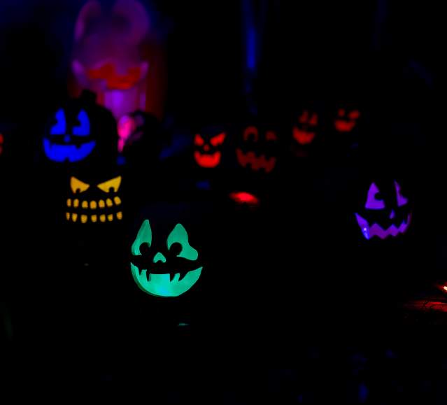 The Glowing Pumpkin Trail at Roba Family Farms in North Abington Township, PA