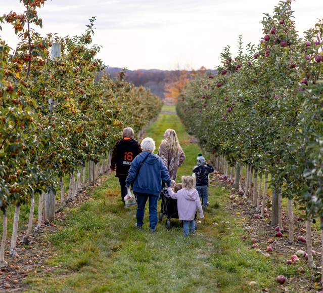 A family walking through the apple orchard at Lakeland Orchard & Cidery in Scott Twp, PA