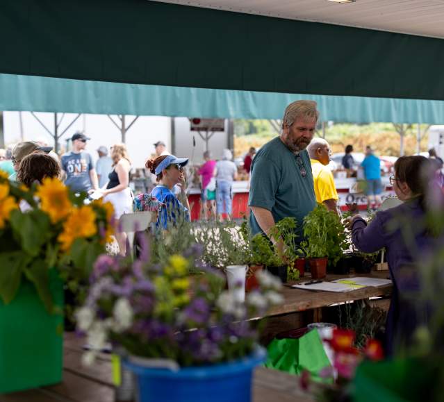A man browsing the Co-Op Farmers Market in Scranton, PA