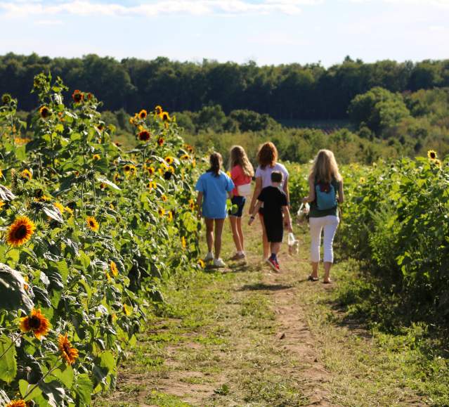 Lakeland Orchard & Cidery in Scott Township, PA