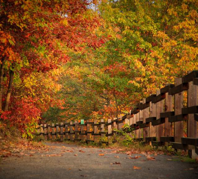Davis Trail: Nay Aug Park