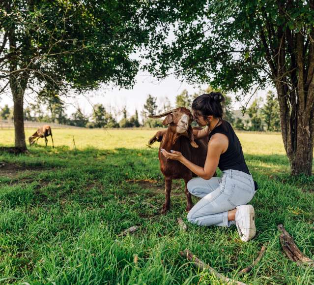 Indraloka Animal Sanctuary in Dalton, PA