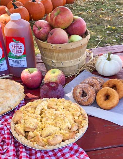 Doughnuts, pies, and apple cider at Ritter's Cider Mill in Mount Cobb, PA