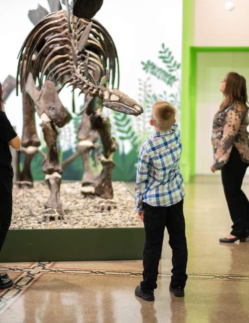 museum
