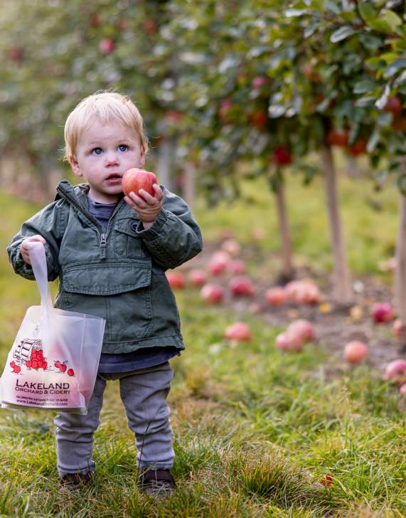 Best Pumpkin Patches & Farms in Lackawanna County for an Easy Family Fall Day