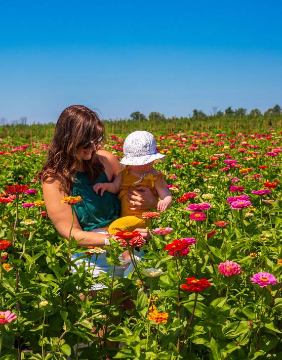 Lakeland Orchard & Cidery in Scott Township, PA