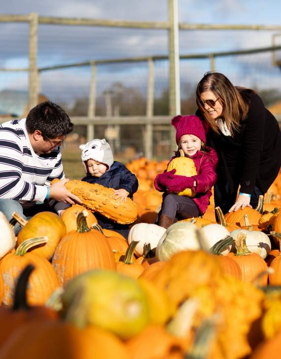 10 Must-Do Fall Activities & Events in Lackawanna County