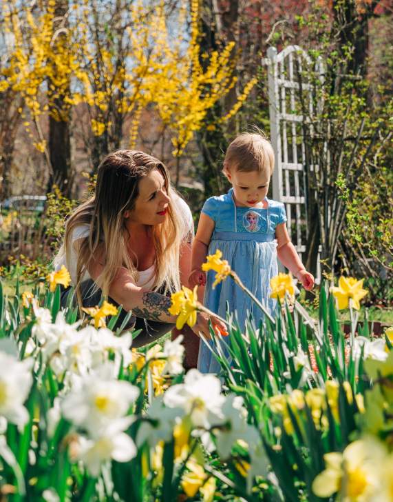 Spring Family Fun Guide