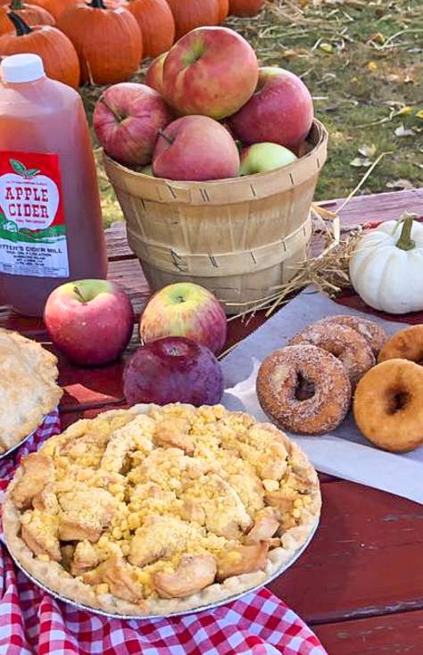 Doughnuts, pies, and apple cider at Ritter's Cider Mill in Mount Cobb, PA