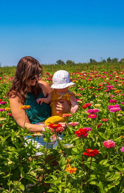 Lakeland Orchard & Cidery in Scott Township, PA