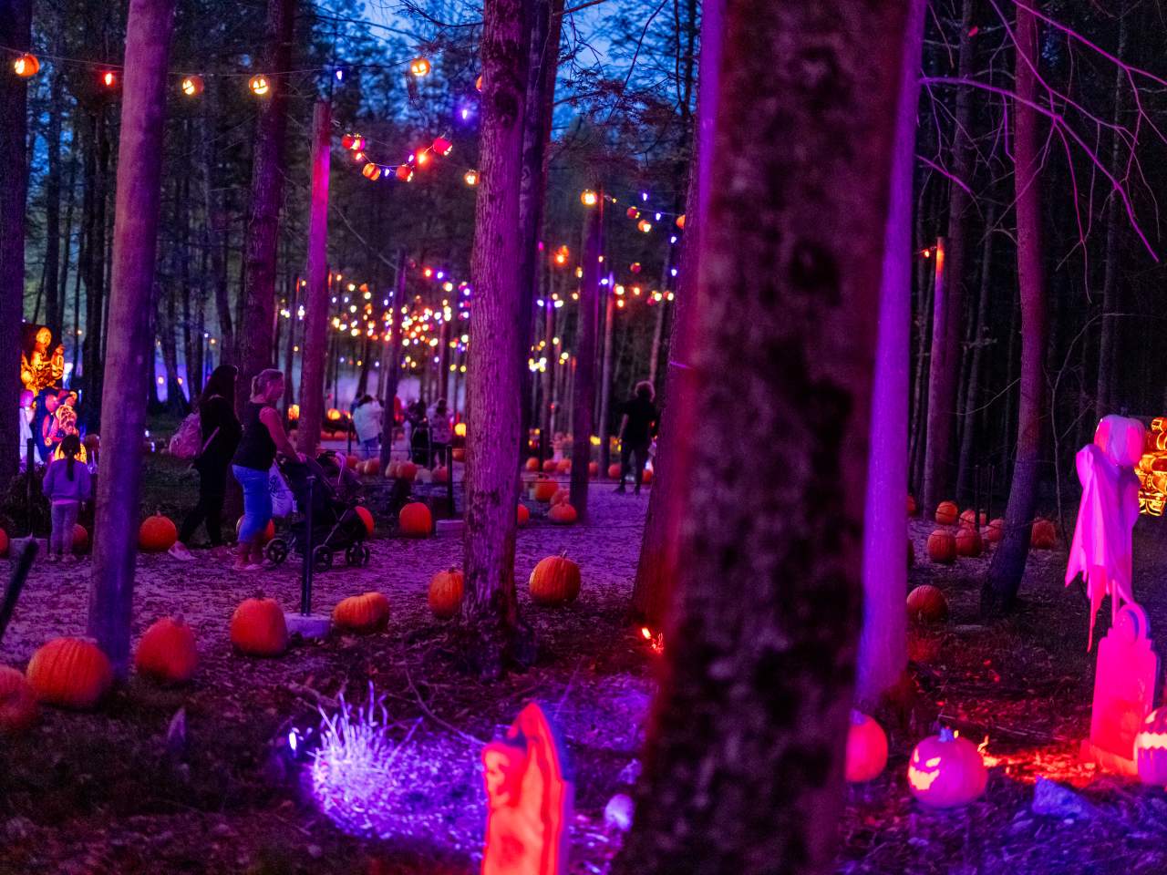 The Glowing Pumpkin Trail at Roba Family Farms in North Abington Township, PA