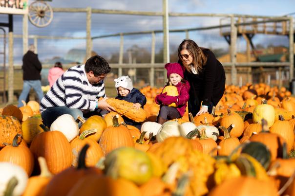 A family picking pumpkins at Roba Family Farms