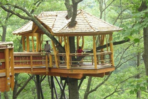Treehouse