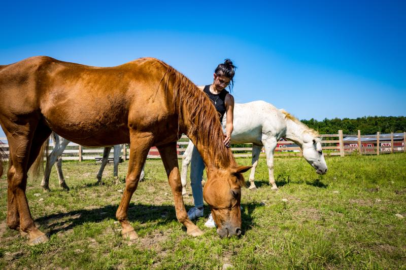 Indraloka Animal Sanctuary in Dalton, PA