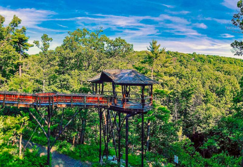 chase_does_art Instagram Nay Aug Park