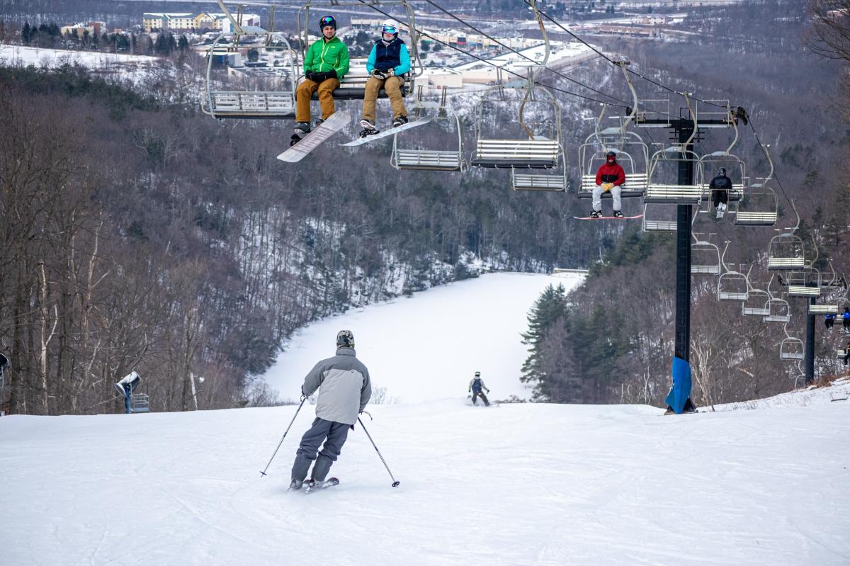 Skier at Montage Mountain Ski Resort, surrounded by winter trees.