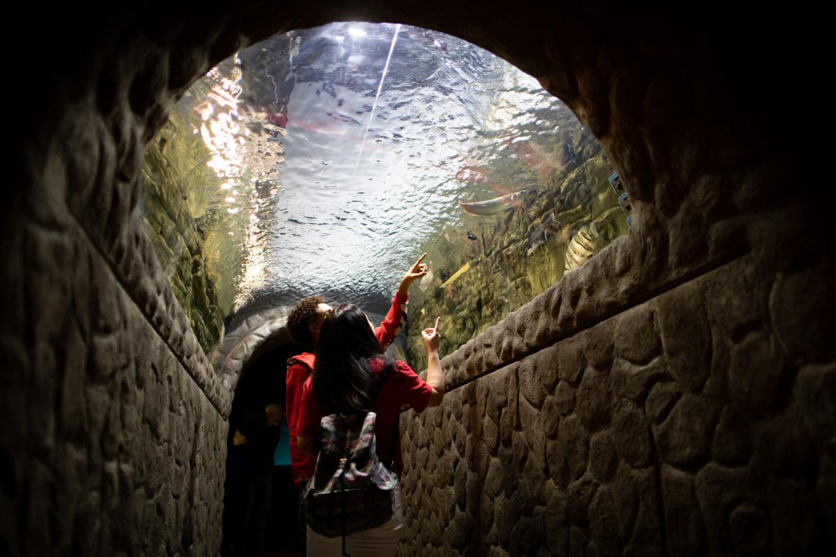 Electric City Aquarium