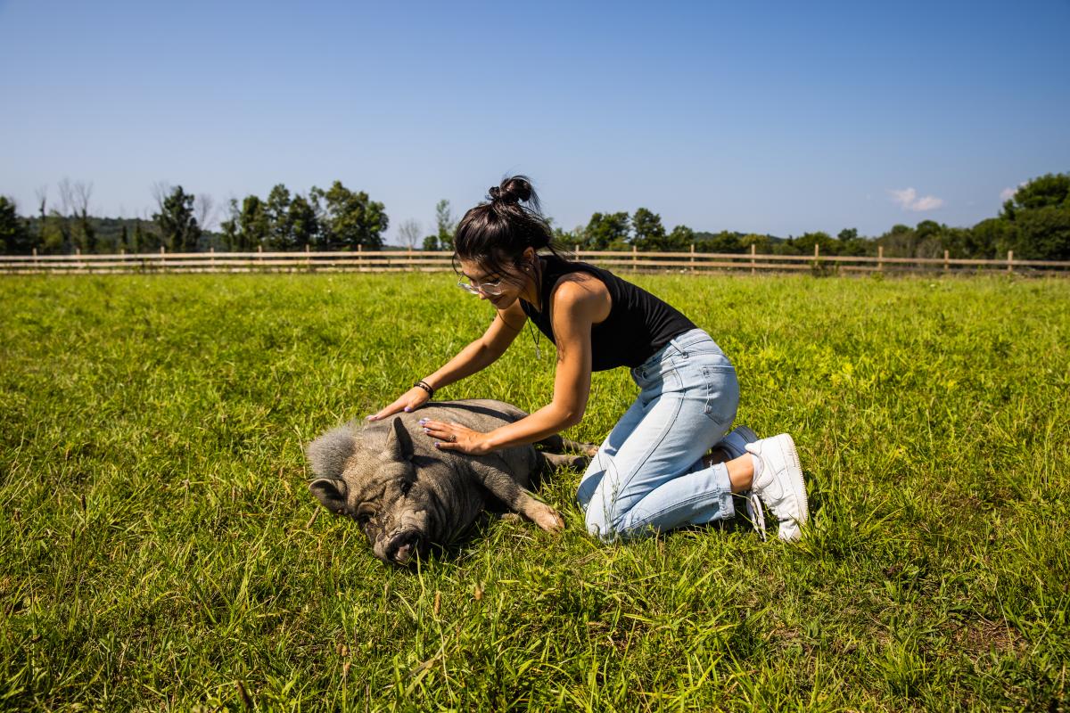 Indraloka Animal Sanctuary