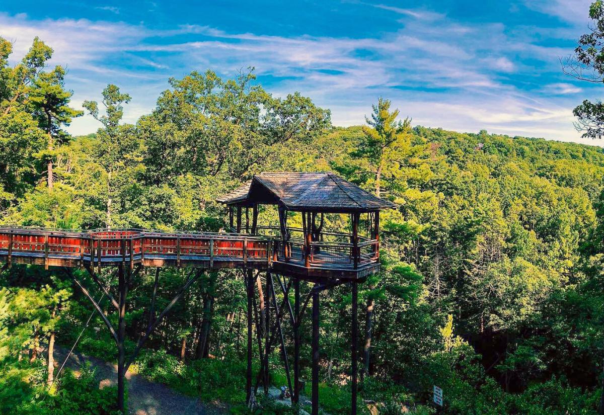 Nay Aug Park Treehouse