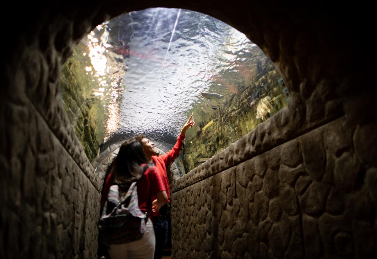 EC Aquarium