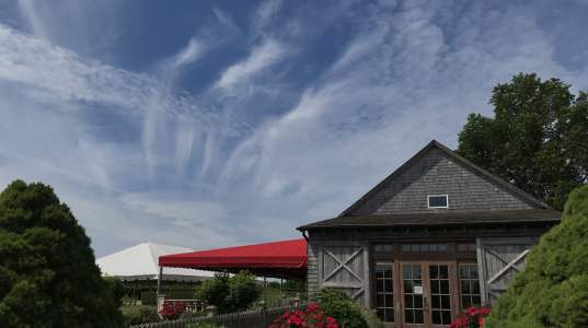 Clovis Point Wines