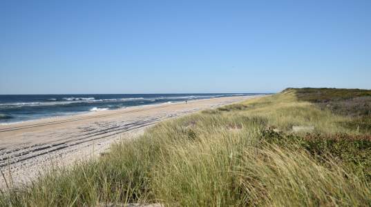 Barrett Beach Park