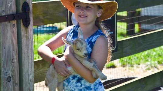 Harbes Family Farm & Vineyard