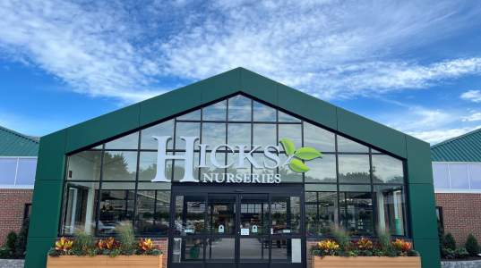 Hicks Nurseries