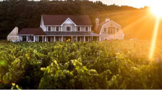 Sannino Vineyard B&B