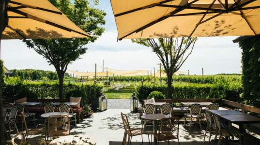 Rose Hill Vineyards & Inn