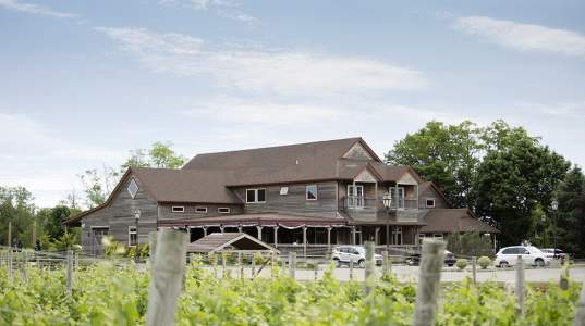 Jason's Vineyards