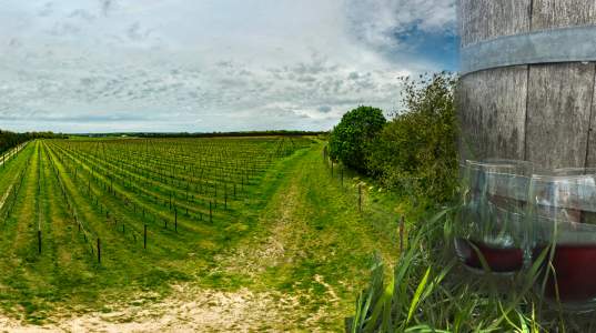 Farrm Wine